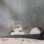 Hüsniye