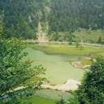 Ömer