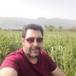 Bulent