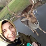 Şahika