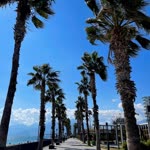 Çağla