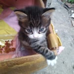 Nursen