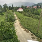 Mürşide