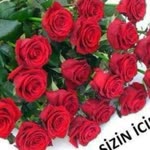 Miran