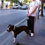 Gökhan