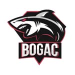 Boğaç