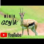Minik
