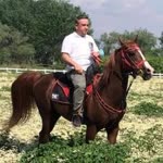 İsmail