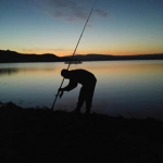 Tolga