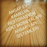 Fın