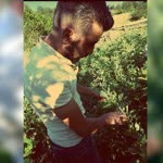 Hamza