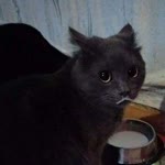 İrem