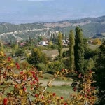 Öztürk