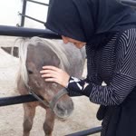 Merve