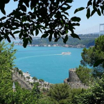 Havva