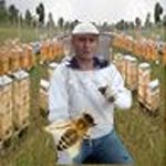 Şeref
