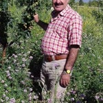 Oğuzhan