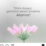 Ayşe