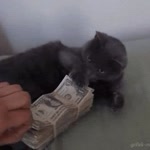 Burak