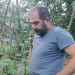 Vedat