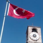 Halil
