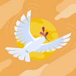 Arzu
