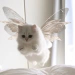 Sevda