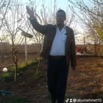 Ali