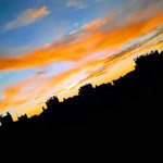 Gonca