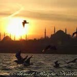 Selim