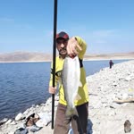 Orhan