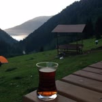 Süreyya