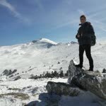 Arif