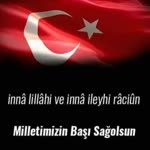Veysel