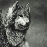 Onur