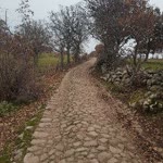 Arzu