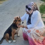 Bahar