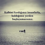 Seviye