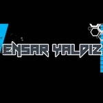 Ensar