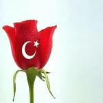 Halil