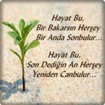 Didem