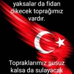 Bekir