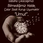 Tekin