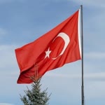 Suat