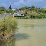 Oguzhan