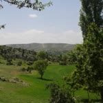 Yavuz