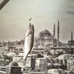 Kamil