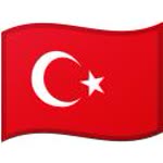 Ersin