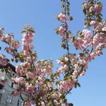 Ayten