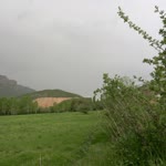Dicle